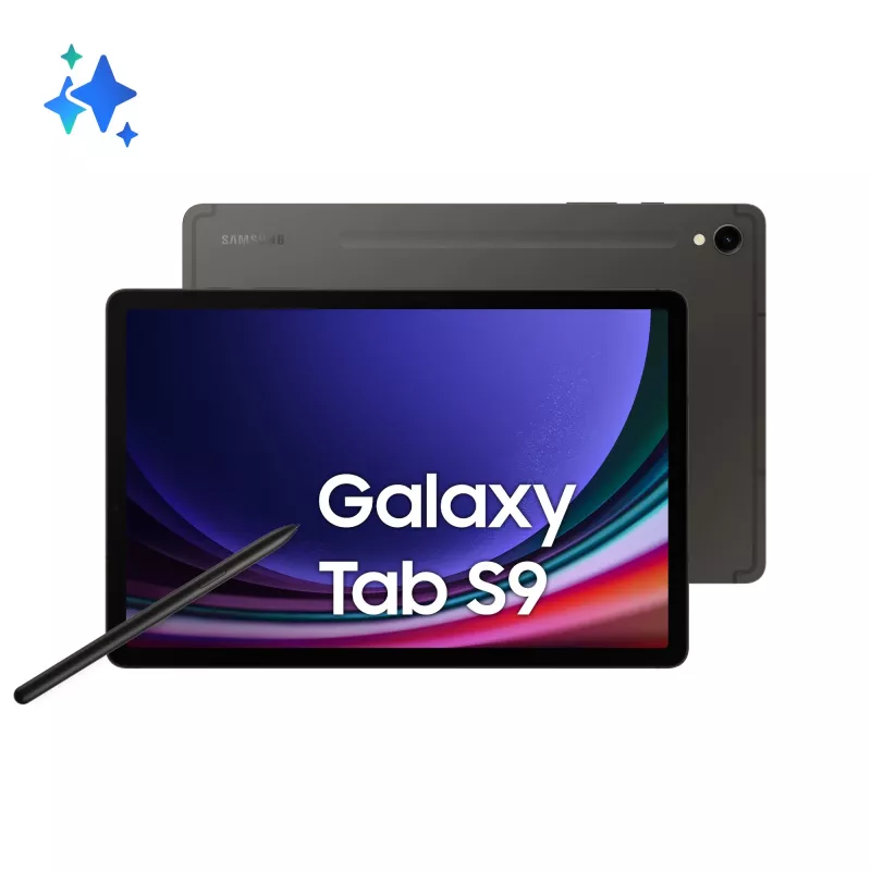 Samsung Galaxy Tab S9 Snapdragon 256 GB 27,9 cm (11 colių) 12 GB Wi-Fi 6 (802.11ax) Android 13 Graphite