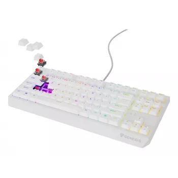 GENESIS Thor 230 TKL klaviatūra Žaidimų USB QWERTY US anglų k. Balta