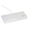 GENESIS Thor 230 TKL klaviatūra Žaidimų USB QWERTY US anglų k. Balta