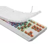 GENESIS Thor 230 TKL klaviatūra Žaidimų USB QWERTY US anglų k. Balta