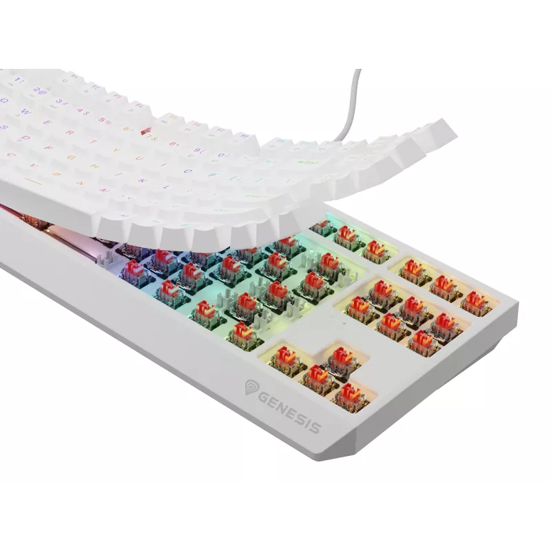 GENESIS Thor 230 TKL klaviatūra Žaidimų USB QWERTY US anglų k. Balta
