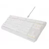 GENESIS Thor 230 TKL klaviatūra Žaidimų USB QWERTY US anglų k. Balta
