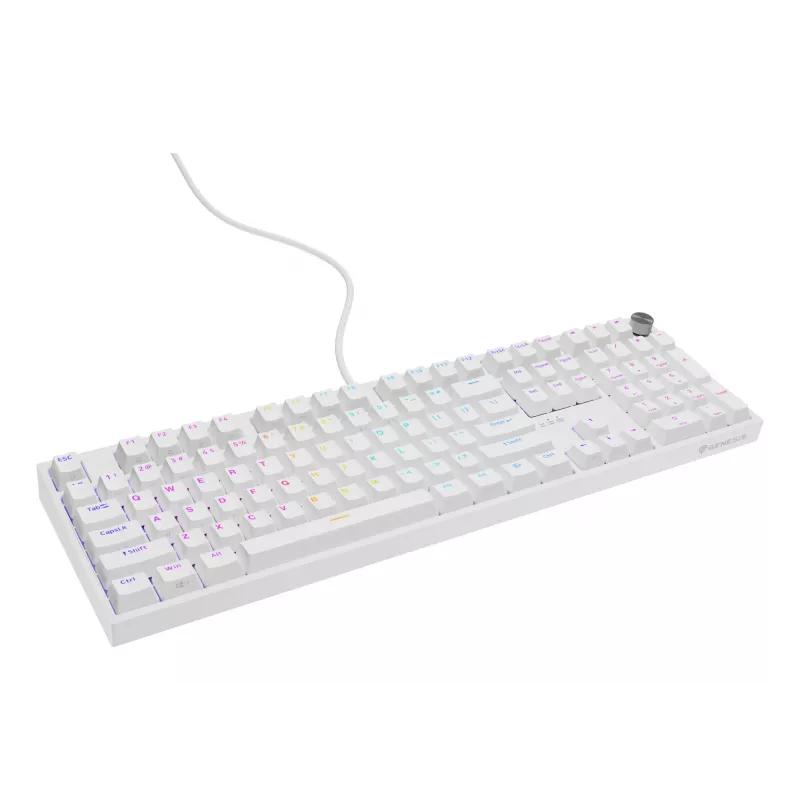 GENESIS NKG-2300 klaviatūra Universal USB QWERTY anglų balta