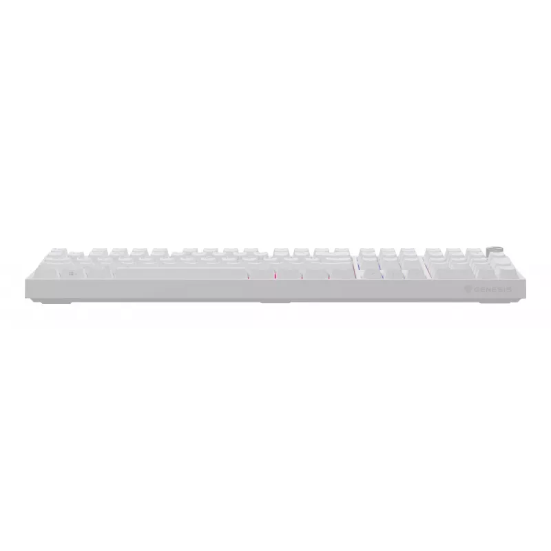 GENESIS NKG-2300 klaviatūra Universal USB QWERTY anglų balta