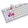 GENESIS NKG-2300 klaviatūra Universal USB QWERTY anglų balta