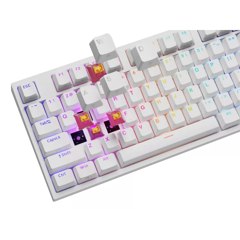 GENESIS NKG-2300 klaviatūra Universal USB QWERTY anglų balta