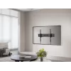 GEMBIRD TV sieninis laikiklis (pasviręs), 43–100 colių