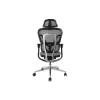„Equip“ ergonominis aukščiausios kokybės biuro krėslas su galvos atrama ir porankiais, pilkas