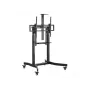 Equip mobilus motorizuotas LFD vežimėlis 55-100 colių, 2,54 m (100 colių), 200 x 200 mm, 800 x 600 mm, -10 - 5°, aliuminis, plastikas, nerūdijantis plienas, juoda