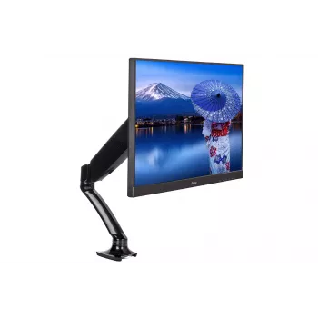 iiyama DS3001C-B1 monitoriaus laikiklis / stovas 68,6 cm (27 col.) Stalinis Juodas