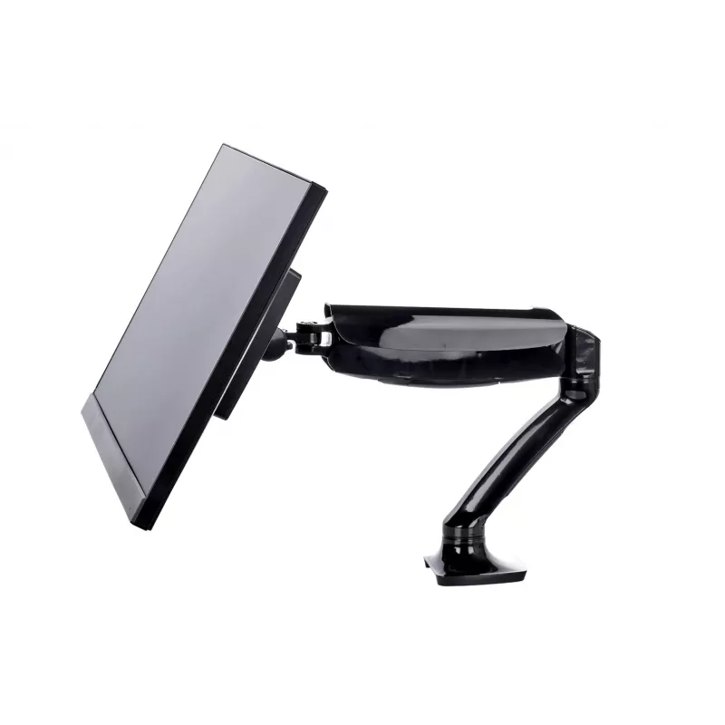 iiyama DS3001C-B1 monitoriaus laikiklis / stovas 68,6 cm (27 col.) Stalinis Juodas