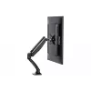 iiyama DS3001C-B1 monitoriaus laikiklis / stovas 68,6 cm (27 col.) Stalinis Juodas