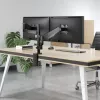 Manhattan Dual stalinis laikiklis televizoriams ir monitoriams (pilno judesio dujinė spyruoklė), ekranams nuo 10 iki 27 colių, tvirtinimas spaustuku arba per kiaurymę, VESA suderinamumas: 75x75 ir 100x100 mm – patikrinkite keturių tvirtinimo angų matmenis ekrano gale, kad įsitikintumėte, jog tinka, maks. 8 kg (kiekvienam)