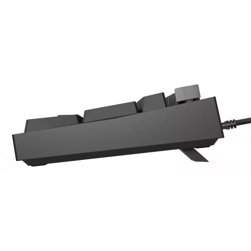 Mechaninė klaviatūra Genesis THOR 404 — pilno dydžio 100% USB QWERTY anglų k., juoda, RGB