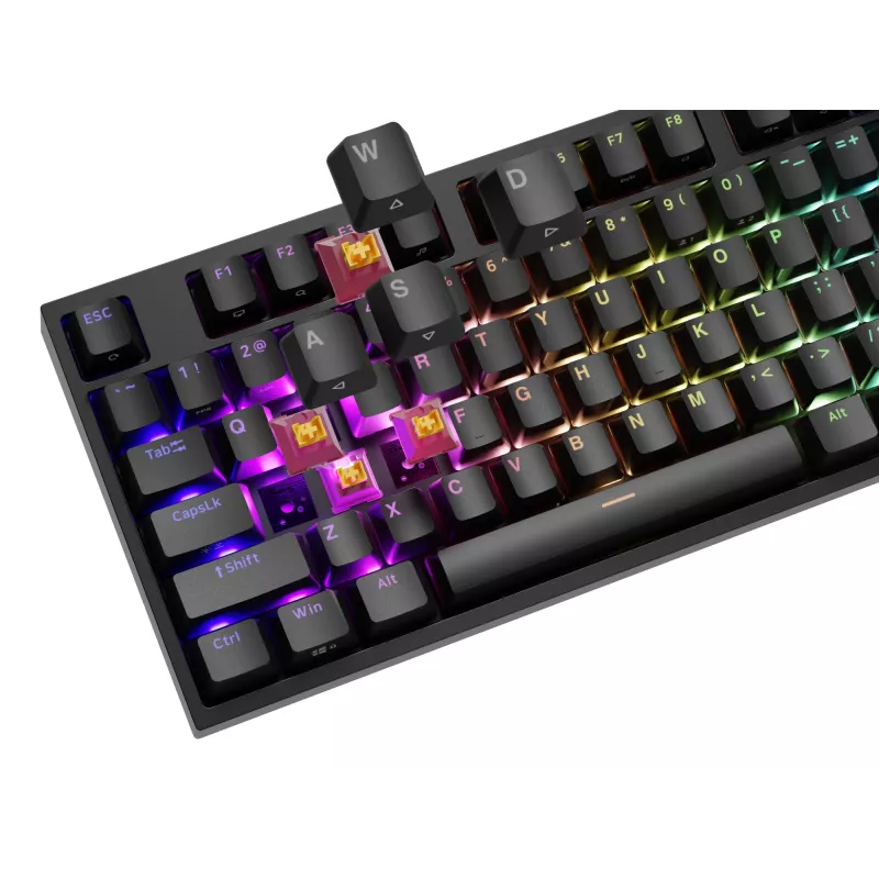 Mechaninė klaviatūra Genesis THOR 404 — pilno dydžio 100% USB QWERTY anglų k., juoda, RGB