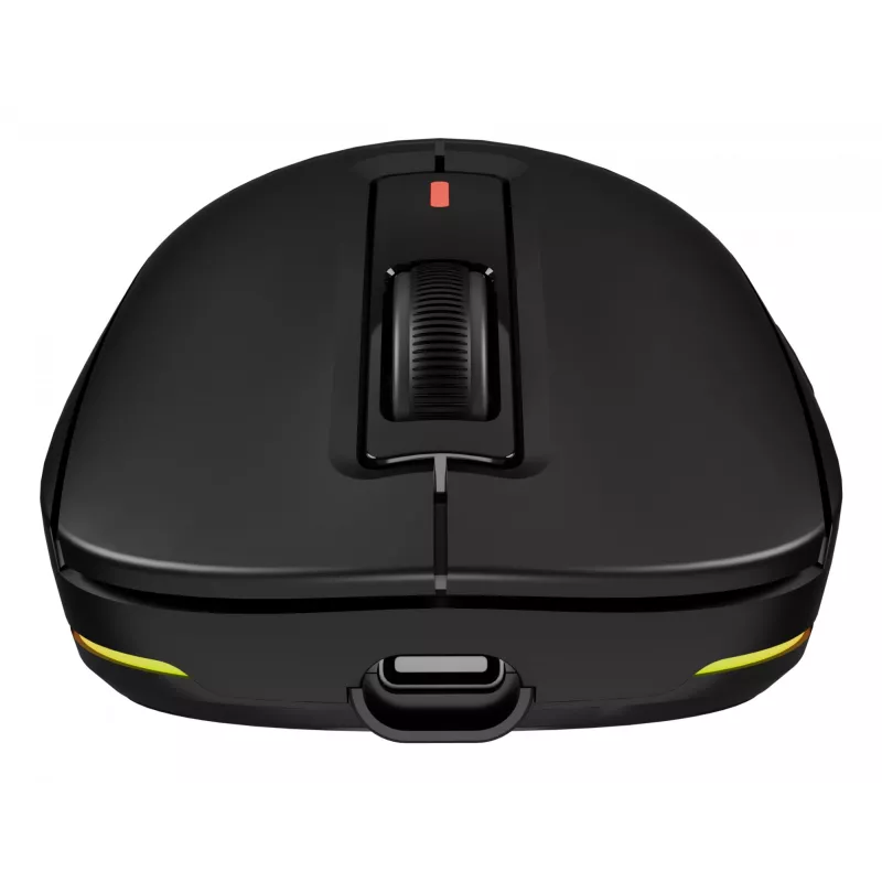 GENESIS NMG-2193 pelė Žaidimų Abiem rankoms tinkama Bluetooth + USB Type-C Optinė 26000 DPI
