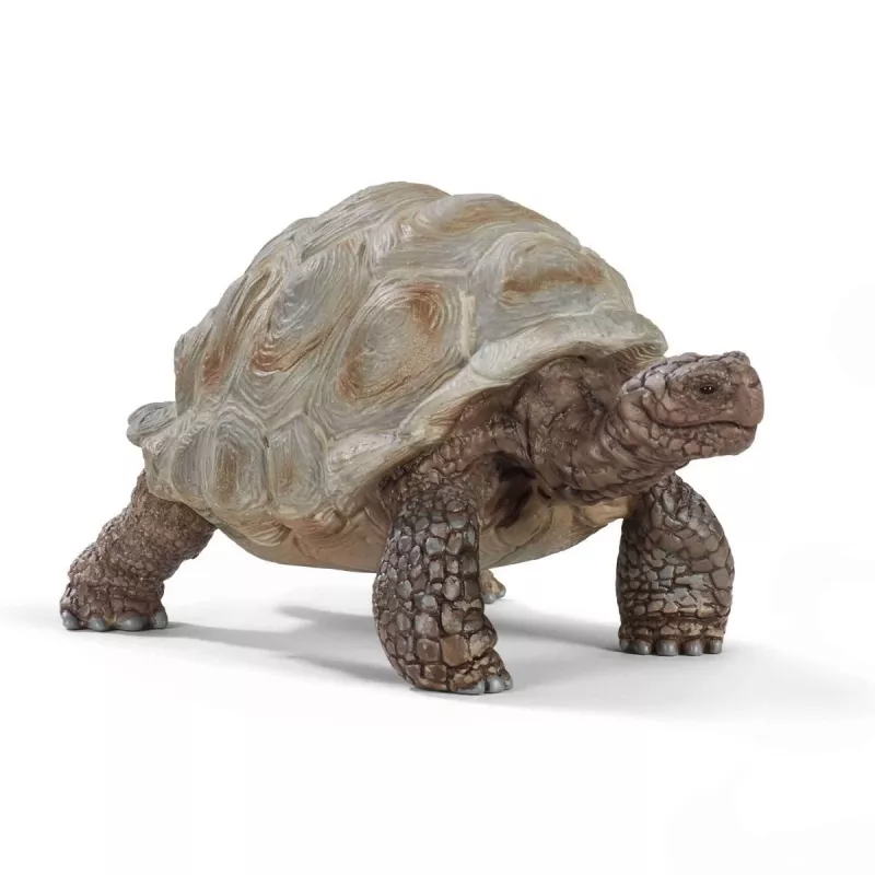 Figūrėlė, Schleich, WILD LIFE Giant vėžlys