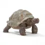 Figūrėlė, Schleich, WILD LIFE Giant vėžlys