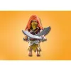 Veiksmo/Nuotykių žaidimų rinkinys PLAYMOBIL Novelmore 71026 Daugiaspalvis