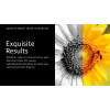 “Xerox” Originalius ® “VersaLink® C625” spalvoto daugiafunkcio spausdintuvo purpurinis didelės talpos dažų kasetė (16000 puslapių) - 006R04638