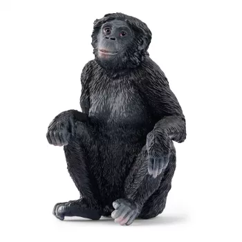 Figūrėlė Schleich WILD LIFE Bonobo patelė 14875 Juoda 3 metai
