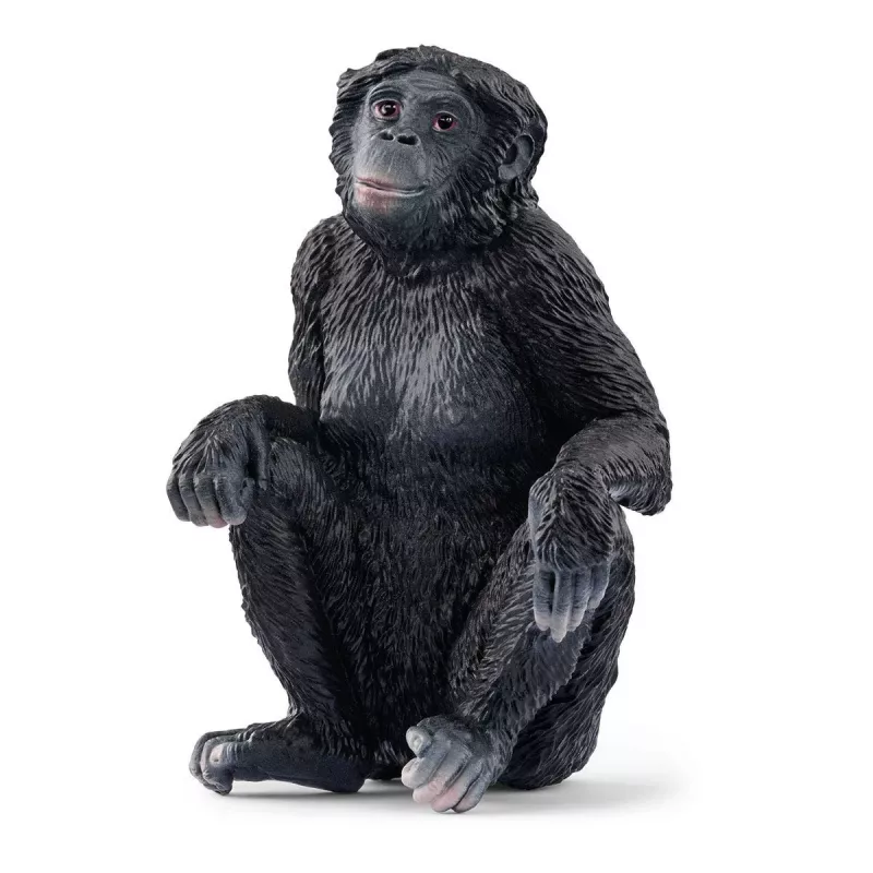 Figūrėlė Schleich WILD LIFE Bonobo patelė 14875 Juoda 3 metai