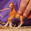 Schleich arkliuko figūrėlė Arabų kumeliukas modelis 13984, ruda, rekomenduojama nuo 5 metų