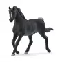 schleich HORSE CLUB Arabų eržilas, 5 metų, Žirgai, Juoda, Pilka, Balta, Plastikas