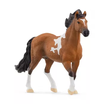 Schleich HORSE CLUB Mangalarga Marchador eržilas, 5 metų, Arkliai, Juoda, Ruda, Balta, Plastikas