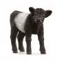 schleich FARM WORLD Galloway veršelis, 3 metai, Ūkis, Ūkio gyvūnai / ūkio žaislai, Juoda, Balta, Plastikas
