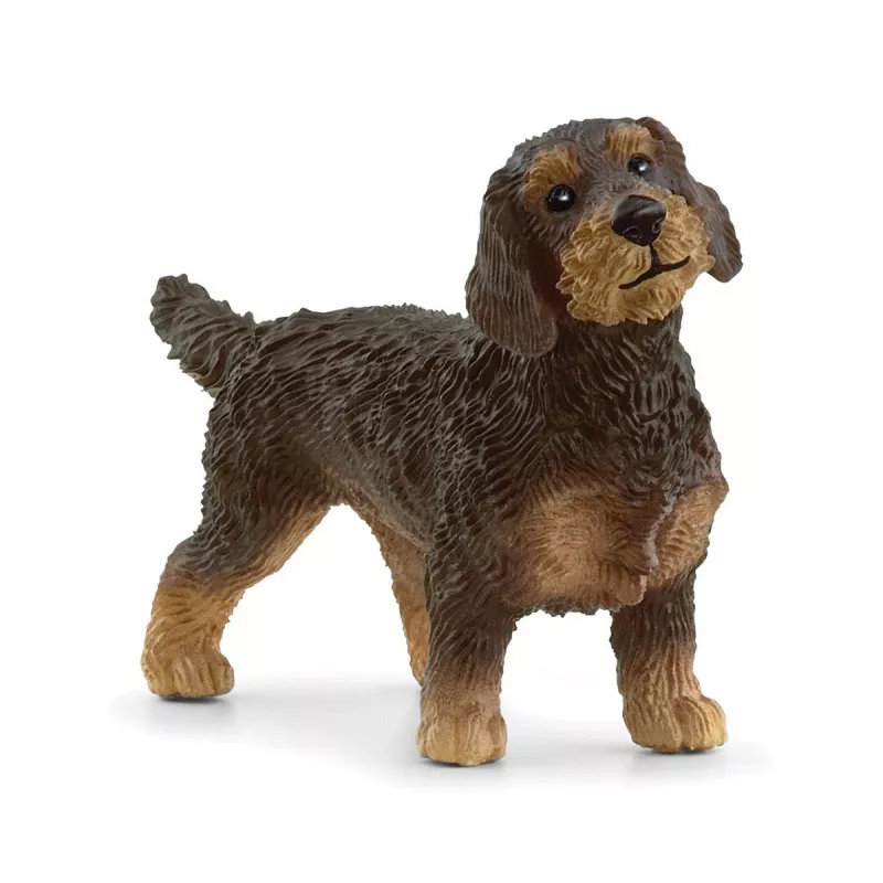 schleich FARM WORLD Šiurkščiaplaukis taksas