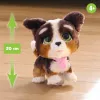FurReal Walkalots Bernedoodle Puppy, berniukas/mergaitė, 4 m., garsinis