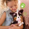 FurReal Walkalots Bernedoodle Puppy, berniukas/mergaitė, 4 m., garsinis