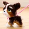 FurReal Walkalots Bernedoodle Puppy, berniukas/mergaitė, 4 m., garsinis