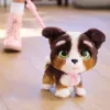 FurReal Walkalots Bernedoodle Puppy, berniukas/mergaitė, 4 m., garsinis