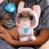 FurReal Wag-a-lots Kitty, berniukas/mergaitė, 4 m., garsinis