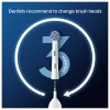 Dantų šepetėlių galvutės Oral-B Sensitive Clean 12 vnt. Balta