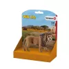 Schleich WILD LIFE Liūtas riaumojantis Įvairiaspalvis Plastikas 3+ metai