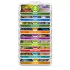 VTech žaislas VTech 616104 Įvairiaspalvis Plastikinis 1 žaidėjas 7-99 metai