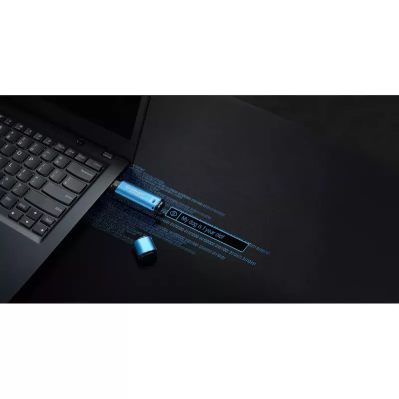 USB Flash Drive Kingston 256GB USB Type-A IronKey Vault Privacy 50