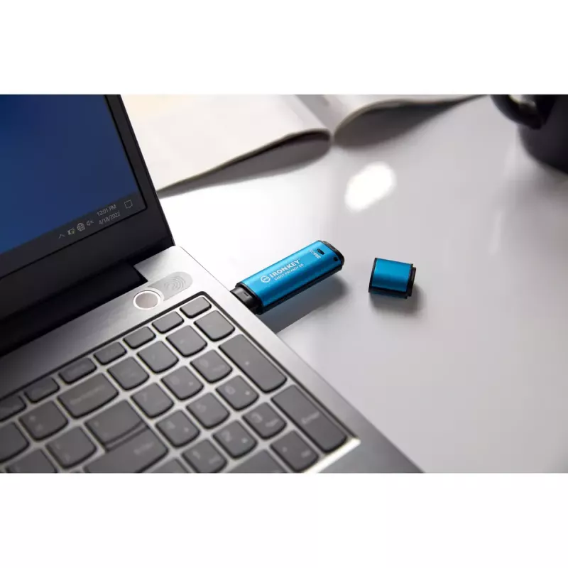 USB Flash Drive Kingston 256GB USB Type-A IronKey Vault Privacy 50