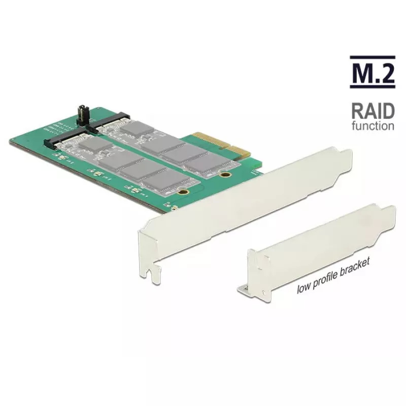 Vidinis M.2 adapteris DeLOCK 89536