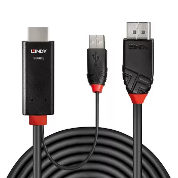 “Lindy” 1 m HDMI į DisplayPort kabelis HDMI USB Type-A DisplayPort