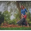 Rankinė pūstuvas Einhell VENTURRO 18/210