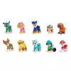 PAW Patrol, 10th Anniversary, All Paws On Deck žaislų figūrėlių dovanų rinkinys su 10 kolekcionuojamų veiksmo figūrėlių, vaikų žaislai nuo 3 metų