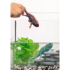 schleich WILD LIFE Chameleon, 3 m., Miškas, Safaris, Laukiniai gyvūnai / nuotykių žaislai, Įvairiaspalvis, Plastikas