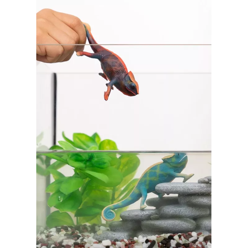 schleich WILD LIFE Chameleon, 3 m., Miškas, Safaris, Laukiniai gyvūnai / nuotykių žaislai, Įvairiaspalvis, Plastikas