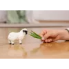 schleich Valais Blacknose Sheep, 3 m., Ūkis, Ūkio gyvūnai / ūkio žaislai, Juoda, Balta, Plastikas
