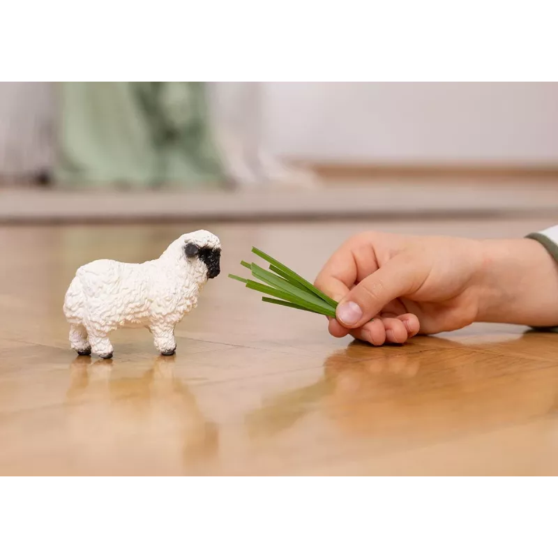 schleich Valais Blacknose Sheep, 3 m., Ūkis, Ūkio gyvūnai / ūkio žaislai, Juoda, Balta, Plastikas