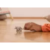 Žaislas Schleich WILD LIFE Aardvark pilka 14863S Rekomenduojamas amžius 3 metai